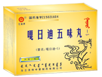 点击放大 嘎日迪五味丸(瓶装)