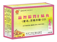 益智温肾十味丸（瓶装） 