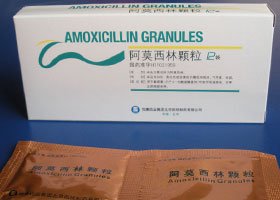 点击放大 阿莫西林颗粒