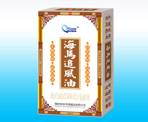 点击放大 海马追风油