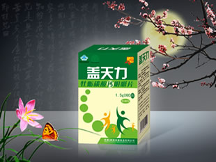盖天力 