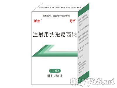  注射用头孢尼西钠
