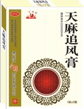 点击放大 天麻追风膏