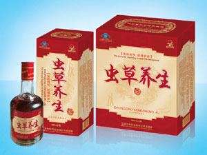 虫草养生酒 