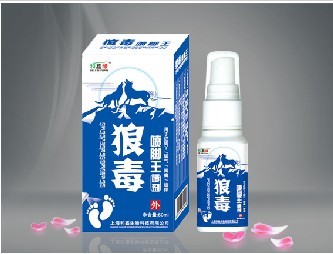 点击放大 狼毒