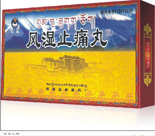 风湿止痛丸 风湿止痛丸