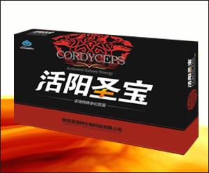 点击放大 活阳圣宝 活阳圣宝
