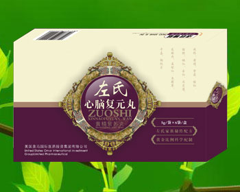 左氏心脑复元丸 