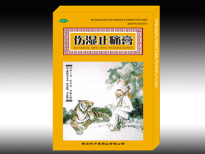 伤湿止痛膏 