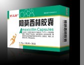 阿莫西林胶囊 