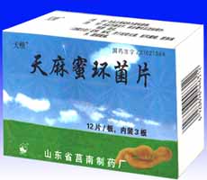 点击放大 天精片 天麻蜜环菌素片