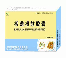 点击放大 板蓝根软胶囊