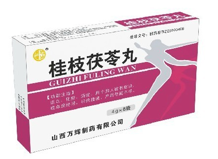 桂枝茯苓丸（浓缩丸） 桂枝茯苓丸（浓缩丸）