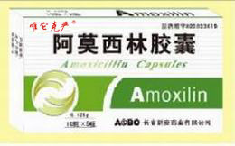 点击放大 阿莫西林胶囊