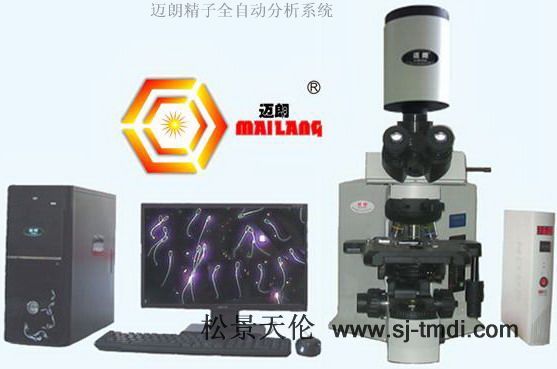 点击大放