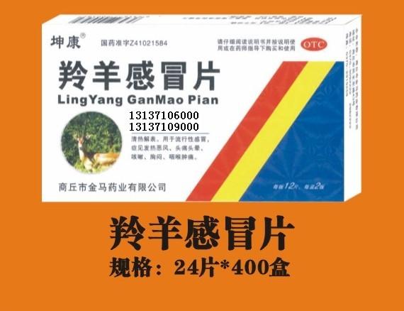 点击放大 羚羊感冒片