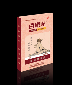 百康贴-腰腿痛专用 