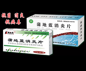 蒲地蓝消炎片48片 