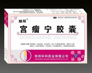 宫瘤宁胶囊 
