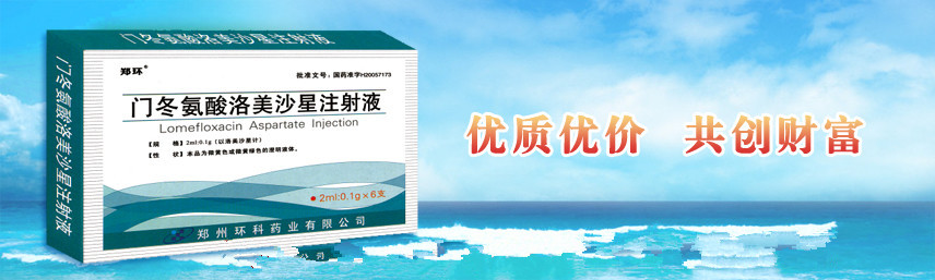 门冬氨酸洛美沙星注射液 门冬氨酸洛美沙星注射液