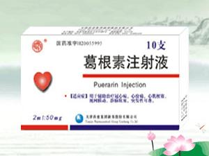 点击放大 葛根素注射液 葛根素注射液