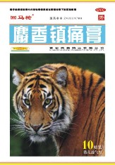 麝香镇痛膏 麝香镇痛膏
