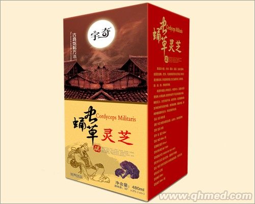 蛹虫草灵芝 保健酒 