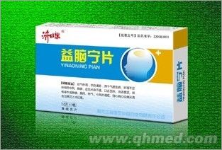 益脑宁片 
