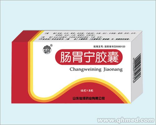 肠胃宁胶囊 