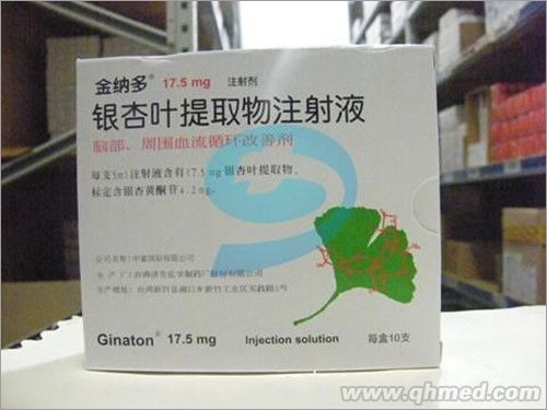 银杏叶提取物注射液 