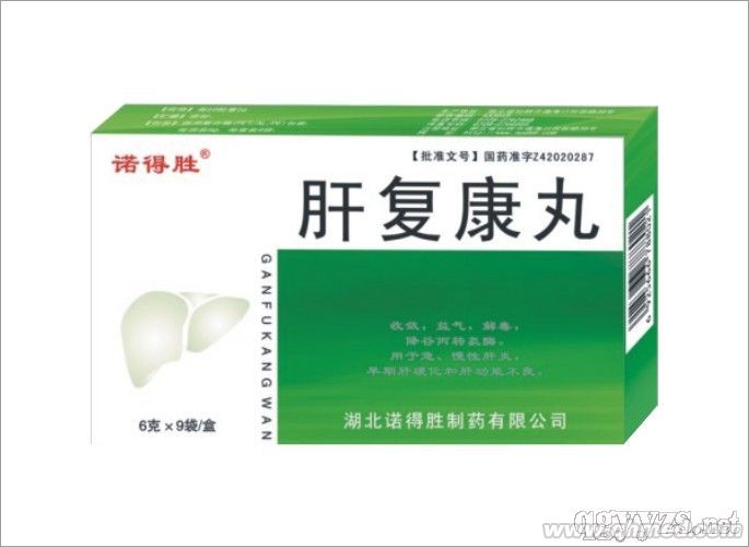 点击放大 肝复康丸(6g*9袋)
