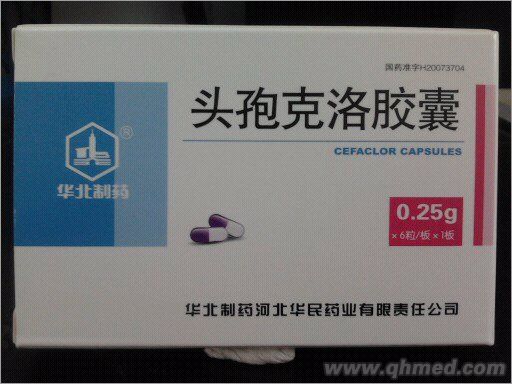 点击放大 头孢克洛胶囊