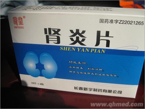 点击放大 肾炎片