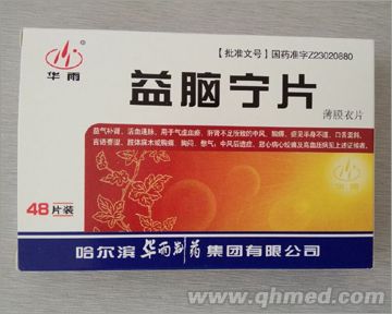 益脑宁片 
