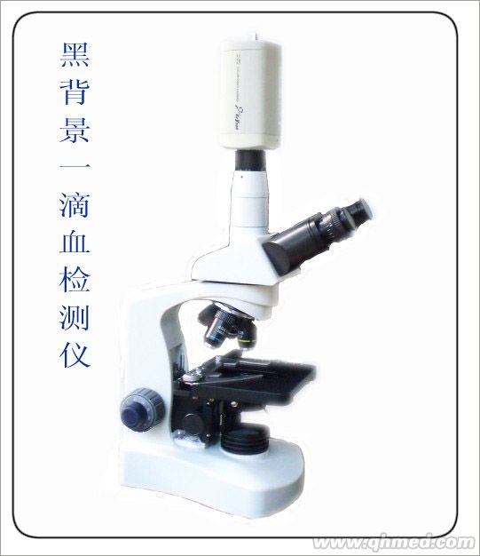 点击大放