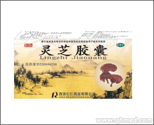 点击放大 灵芝胶囊
