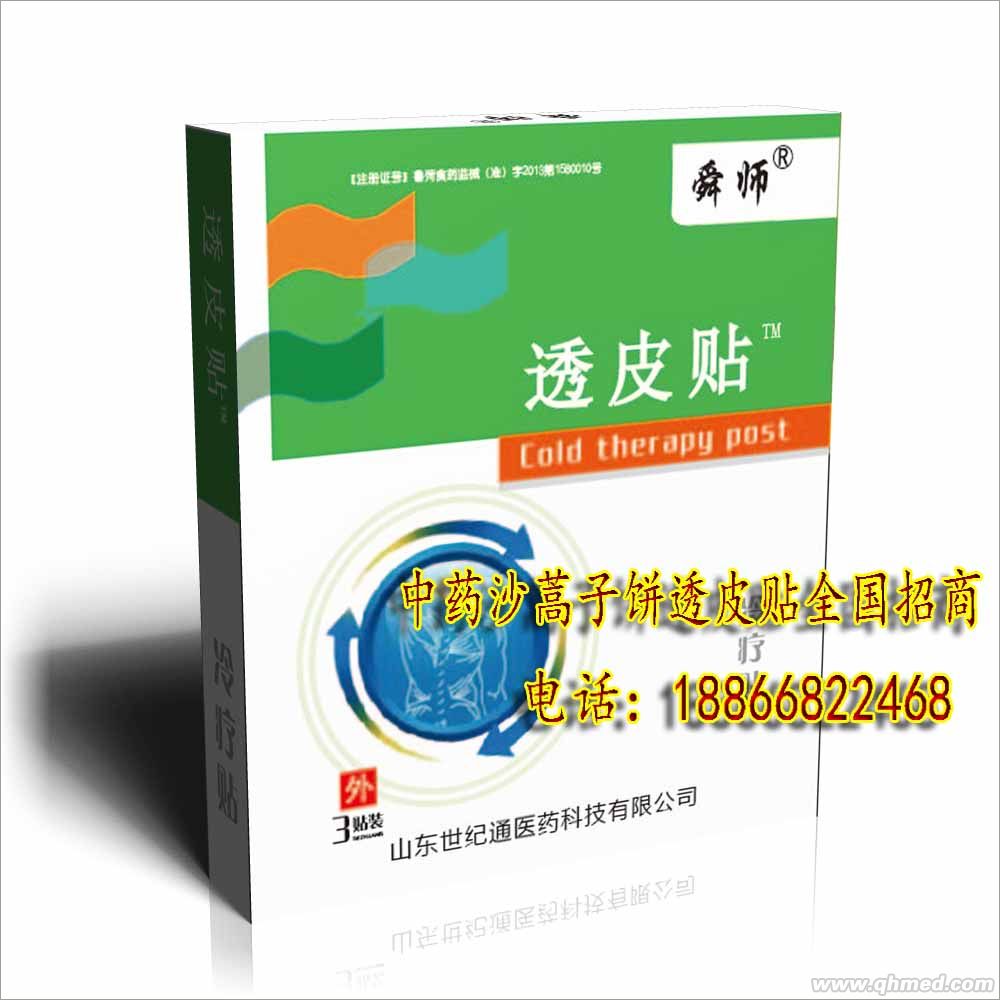 点击放大 中医绿色疗法中药沙蒿子饼透皮贴 沙蒿子透皮贴