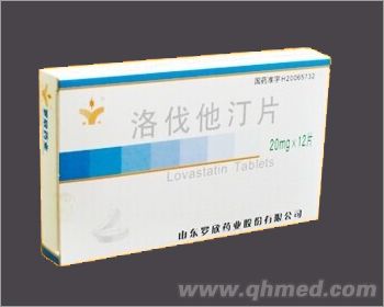 洛伐他汀片 