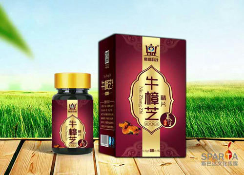 点击放大 牛樟芝精片