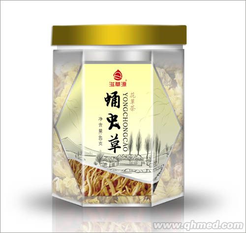蛹虫草 