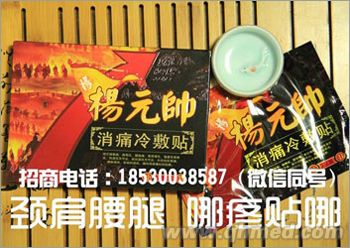 点击放大 杨元帅消痛冷敷贴
