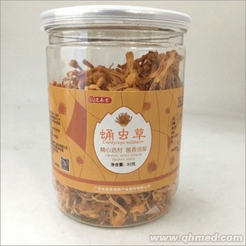 点击放大 名辰堂 蛹虫草50g 蛹虫草