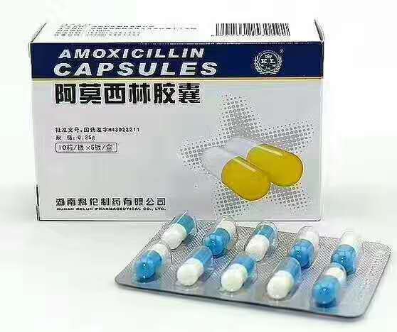 点击放大 阿莫西林胶囊