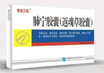 点击放大 肺宁胶囊