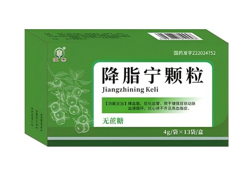 点击放大 降脂宁颗粒(无蔗糖)