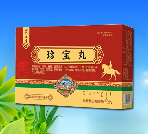 珍宝丸 珍宝丸