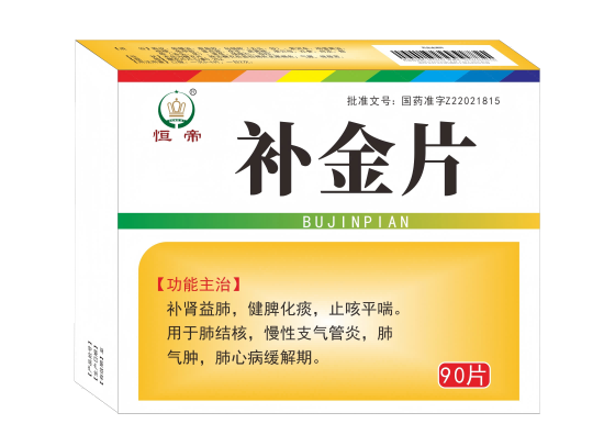 补金片 补金片