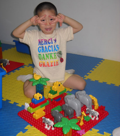 乐高动物园积木玩具